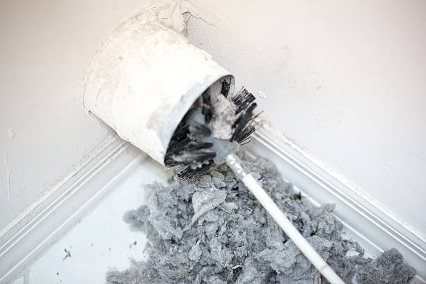 Best Professional Duct Cleaning Services  in Humboldt, IA